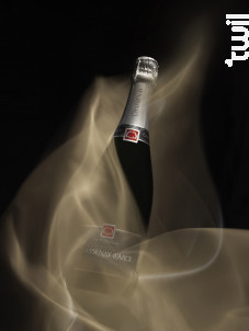 Cuvée Première Brut - Champagne Chassenay d’Arce - Non millésimé - Effervescent