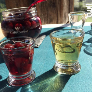 Verre À Shooter Abeille 6 Cl lot De 6 - la rochere -  - 