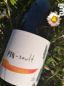 PIN-sault - Domaine Pégaline - 2019 - Rouge