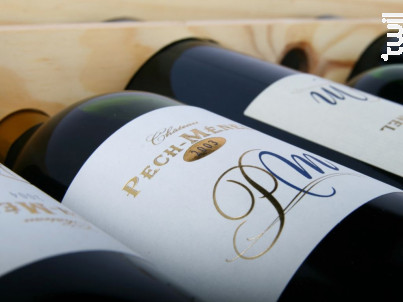 Château Pech Ménel - Domaine Pech-Ménel - 2009 - Rouge