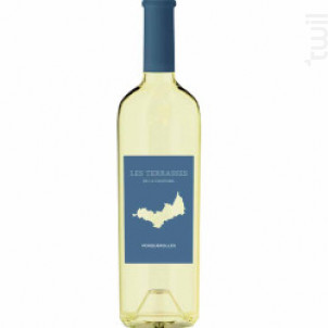 Les Terrasses - Domaine de la Courtade - 2024 - Blanc
