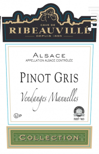 Pinot Gris Collection Casher - Cave de Ribeauvillé - 2015 - Blanc