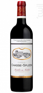 Château Chasse-Spleen - Château Chasse-Spleen - 2021 - Rouge