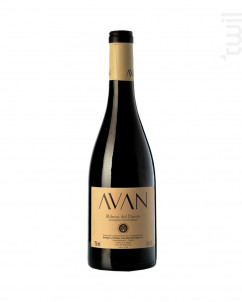 Avan Tinto - Bodegas y Viñedos Juan Manuel Burgos - 2021 - Rouge