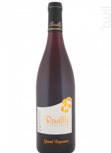 Domaine Gerard Bigonneau Rouge - Domaine Bigonneau - 2017 - Rouge