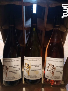 vin blanc chardonnay viognier - Domaine du Loup des Vignes - 2018 - Blanc