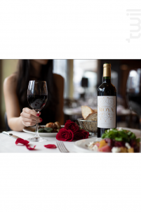 Château Moya - Vignobles Sullivan - 2016 - Rouge