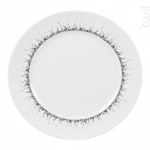Assiette Plate Boréalis Gris 27 Cm lot De 6 - table passion -  - 