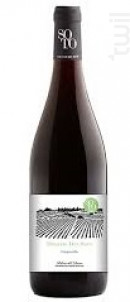 Dominio Del Soto - Dominio Del Soto - 2021 - Rouge