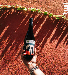 Syrah Nature - Domaine Ricardelle de Lautrec - 2021 - Rouge