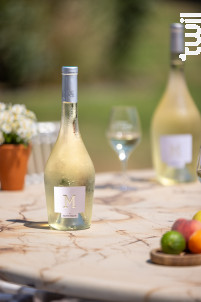 SAINT-M - Château Saint Maur Cru Classé - 2024 - Blanc