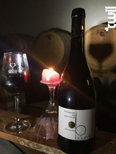 Triomphe de Bacchus - Domaine Bourdic - 2013 - Rouge