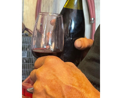 Saint Joseph - Vieilles Vignes - Domaine de Gouye - 2022 - Rouge