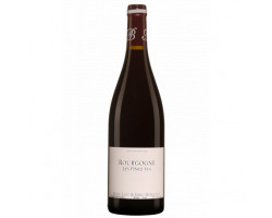 Bourgogne Pinot Noir Les Pince Vin - Domaine Alain Burguet - 2020 - Rouge