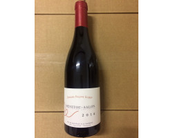 Domaine Philippe Gilbert - Domaine Philippe Gilbert - 2019 - Rouge
