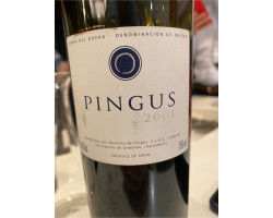 Pingus - Dominio de Pingus - 2018 - Rouge
