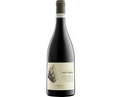 Pinot Noir Terroir D'altitude - Fortant de France - 2020 - Rouge