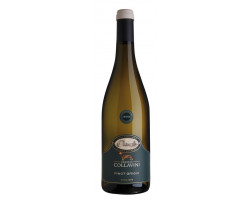 Villa Canlungo Pinot Grigio - Eugenio Collavini - Non millésimé - Blanc