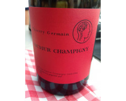 Thierry Germain Saumur Champigny - Thierry Germain - Domaine des Roches Neuves - 2021 - Rouge