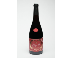 Côteaux Champenois Rouge - Champagne Vincent Lamoureux - 2022 - Rouge