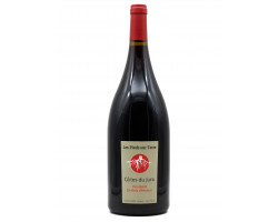 En Bois D'Arnaud Poulsard - Les Pieds Sur Terre Valentin Morel - 2022 - Rouge