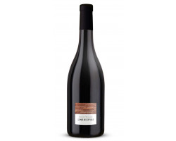 Le Mas Des Seyvols - Pas des Phyllades - 2023 - Rouge