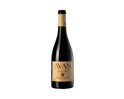 Avan Tinto - Bodegas y Viñedos Juan Manuel Burgos - 2022 - Rouge