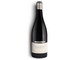 Santenay Premier Cru Les Gravières - Domaine Bruno Colin - 2021 - Rouge