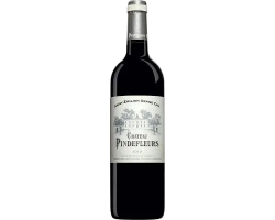 Château Pindefleurs - château Pindefleurs - 2021 - Rouge