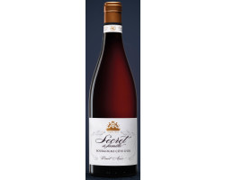 Bourgogne Pinot Noir Secrets de Famille - Albert Bichot - 2020 - Rouge