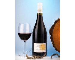 Côtes Du Rhône Villages Plan De Dieu - Les heritiers Albert Bernard - 2021 - Rouge