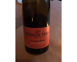 Gamay Originel So2 - Domaine Grands Fers - 2022 - Rouge