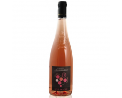 Rosé de Loire - Domaine des Bénédictins - 2021 - Rosé