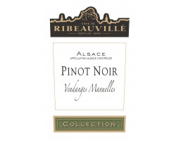 Pinot Noir Collection - Cave de Ribeauvillé - 2019 - Rouge