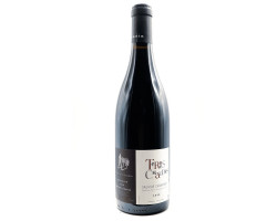 Les terres chaudes - Thierry Germain - Domaine des Roches Neuves - 2017 - Rouge