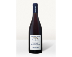 Meix De Chaseau - Domaine de l'Evêché - 2023 - Rouge