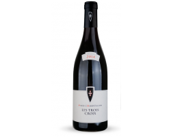 Les trois Croix - Paris l'Hospitalier - 2023 - Rouge