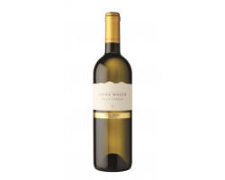 Pinot Bianco - Elena Walch - 2022 - Blanc