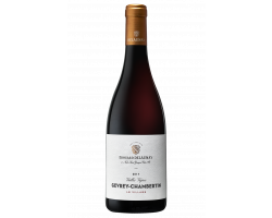 Gevrey-Chambertin Vieilles Vignes - Edouard Delaunay - 2017 - Rouge