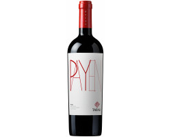 Payen - Syrah Cabernet Franc - TABALI - 2018 - Rouge