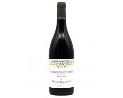Bourgogne Pinot Noir - Domaine Michel Bouzereau & Fils - 1989 - Rouge