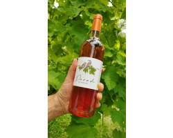 Parade - Mas Gourgonnier - 2024 - Rosé