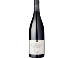 Bourgogne Pinot Noir - Ropiteau Frères - 2021 - Rouge