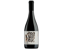 BY BOUCHON Salvaje - BOUCHON FAMILY WINES - 2022 - Rouge