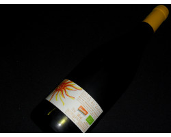 Sierra Du Sud - Domaine Gramenon - 2024 - Rouge