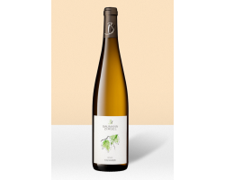 Sylvaner - Vieilles Vignes - Domaine Baumann Zirgel - 2022 - Blanc