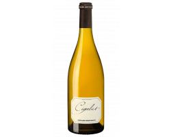Cigalus - Maison Gérard Bertrand - Domaine de Cigalus - 2024 - Blanc