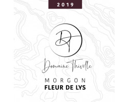 Fleur de Lys - Domaine Thivolle - 2019 - Rouge