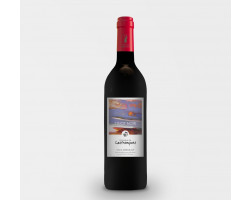 Pinot Noir - Domaine de Lastronques - 2021 - Rouge