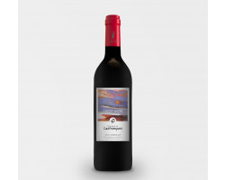 Pinot Noir - Domaine de Lastronques - 2023 - Rouge